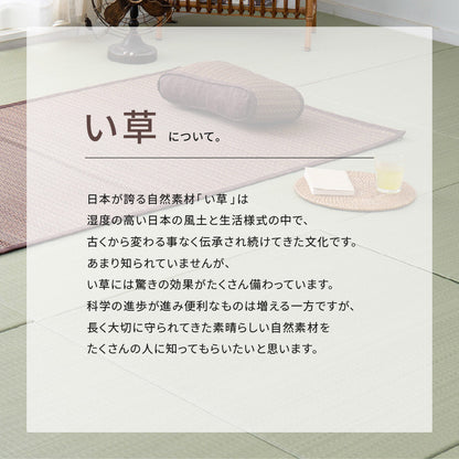 い草ラグ 南風 191×240cm 送料無料