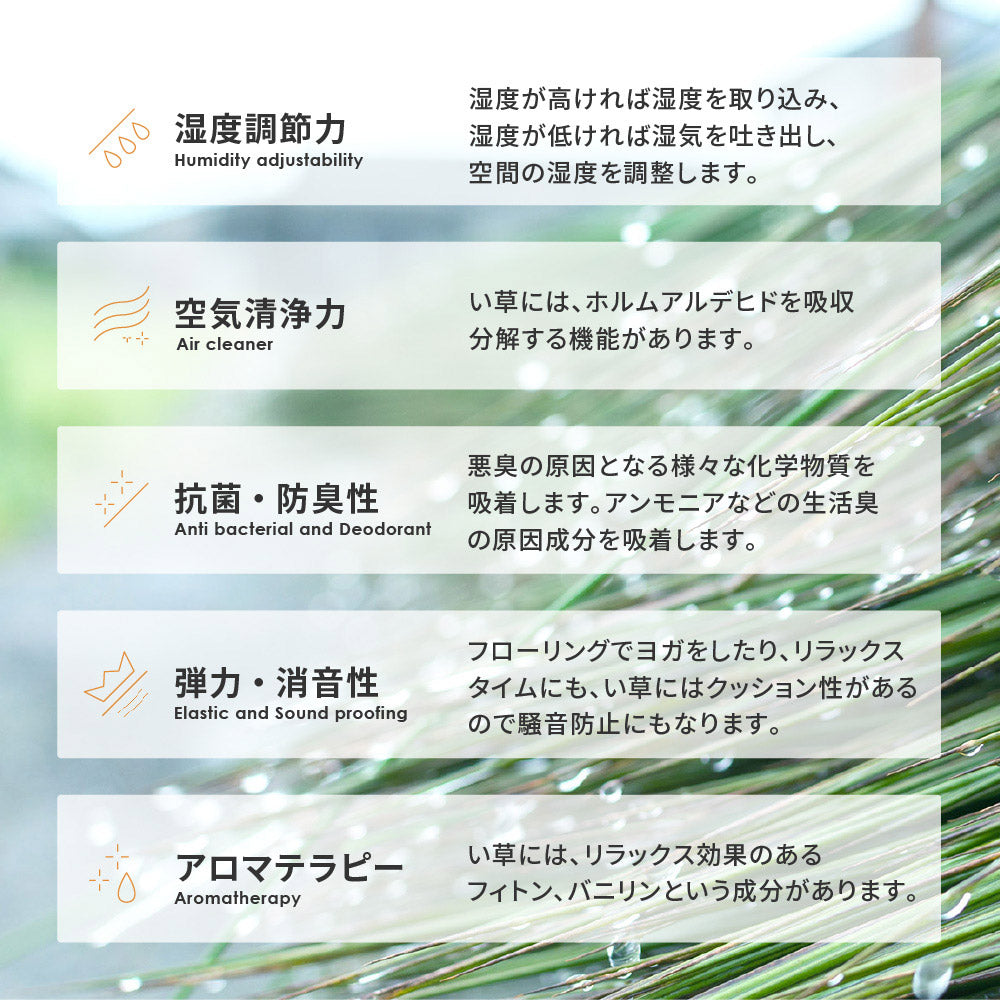 い草ラグ 南風 191×240cm 送料無料