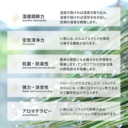 い草ラグ 南風 191×240cm 送料無料