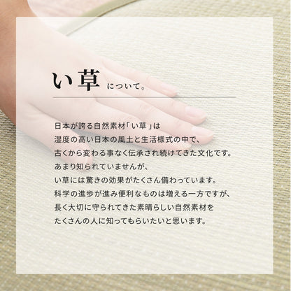 い草ラグ 穂まれ 176×230cm 送料無料