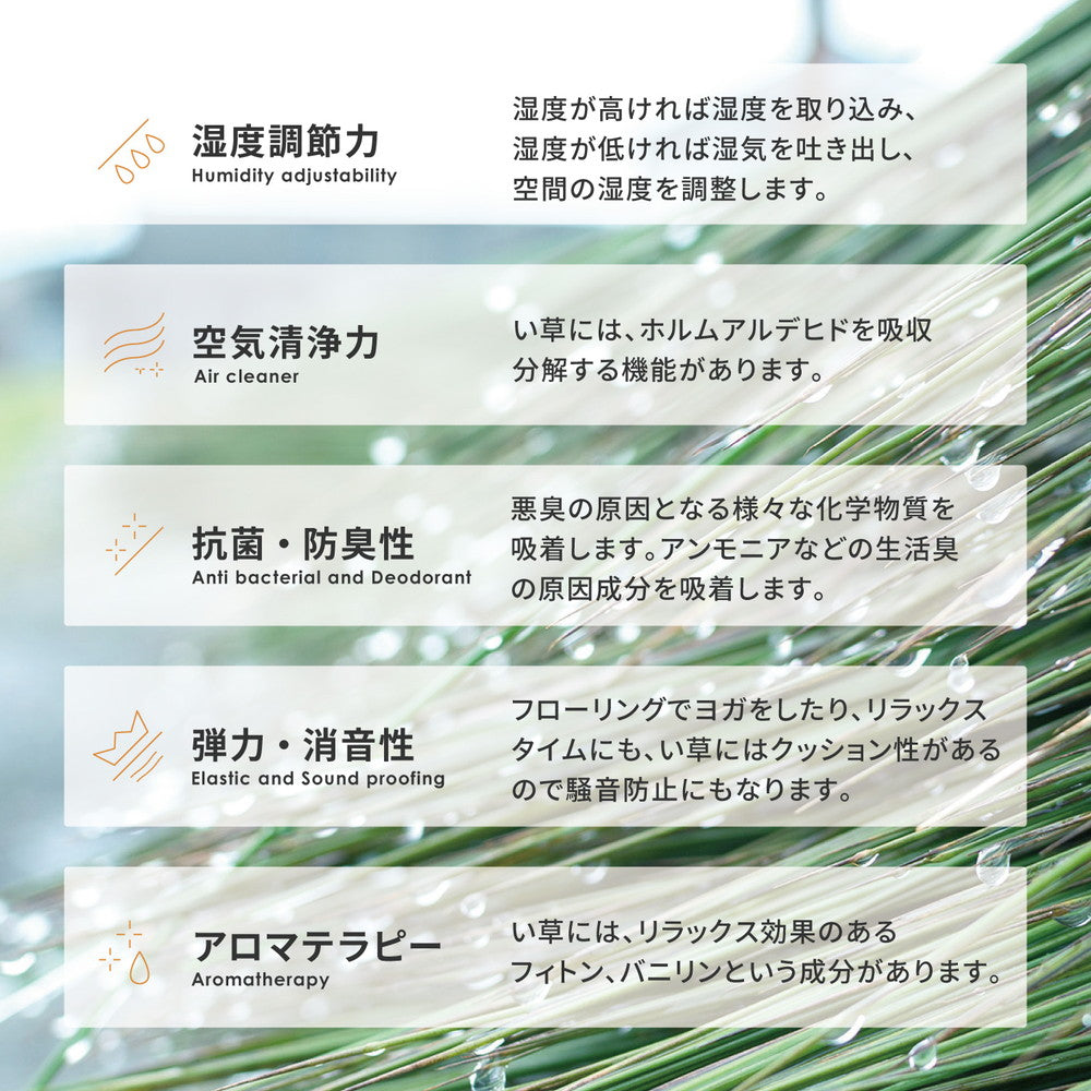 い草ラグ 穂まれ 176×230cm 送料無料