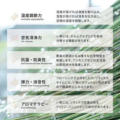 い草ラグ 穂まれ 176×230cm 送料無料