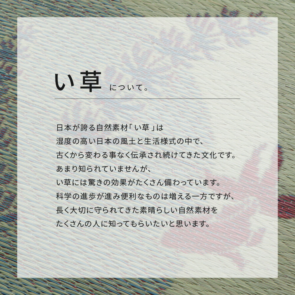 い草ラグ 涼水 230×230cm 送料無料