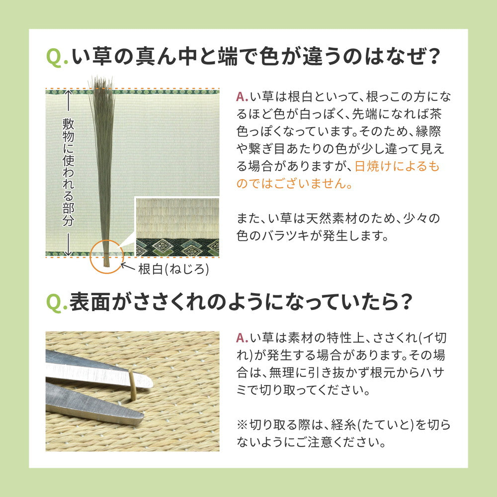 おもてなし い草カーペット 雅（みやび） 本間 6畳（286×382） 送料無料