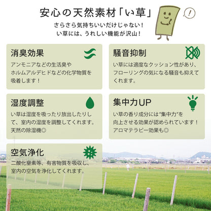 カラーの選べる軽量置き畳 綾川 9枚セット 82×82×2.5cm 送料無料