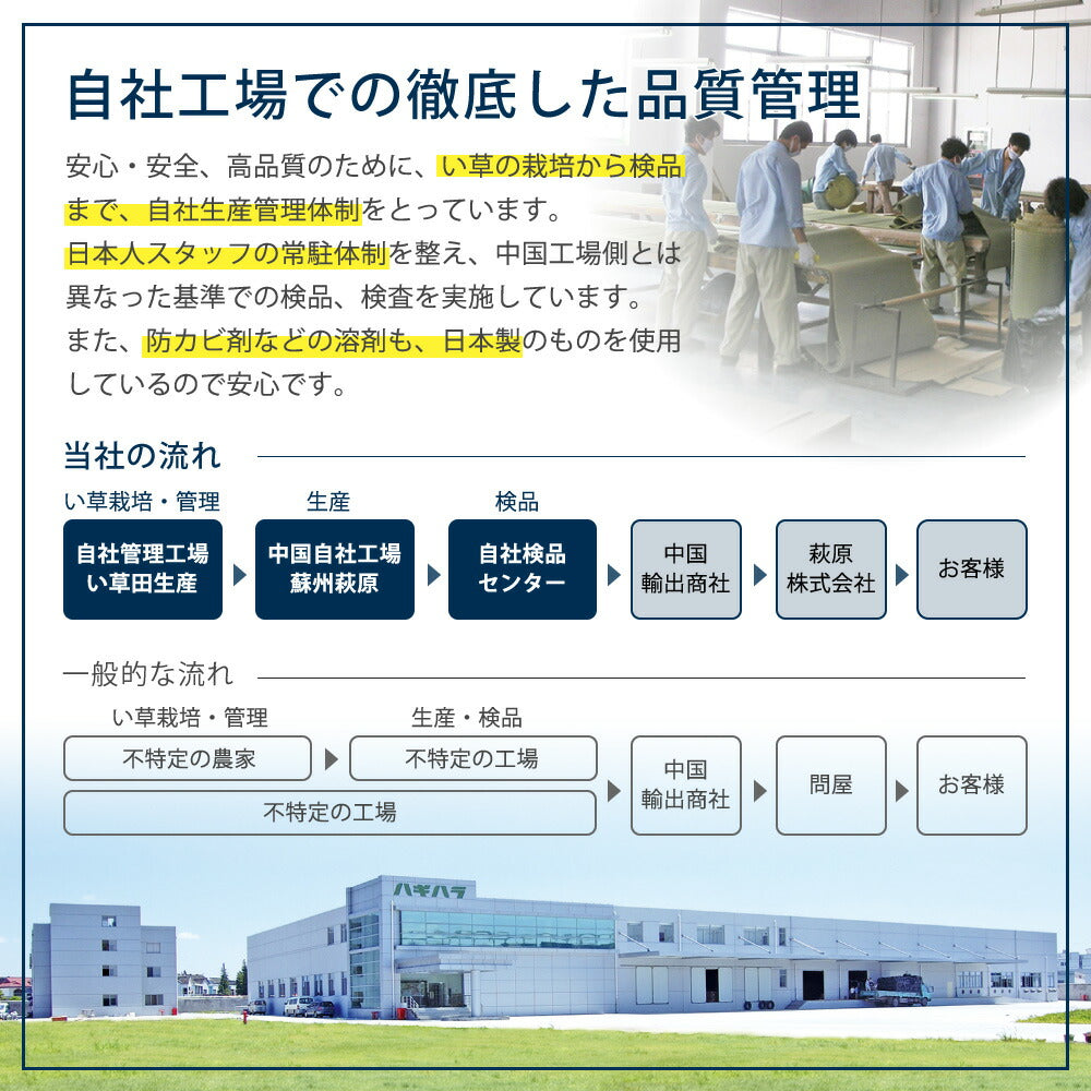 カラーの選べる軽量置き畳 綾川 12枚セット 82×82×2.5cm 送料無料