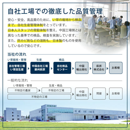 カラーの選べる軽量置き畳 綾川 12枚セット 82×82×2.5cm 送料無料