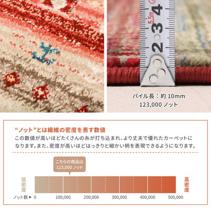 トルコ製 ウィルトン織の玄関マット RAKKAS 60×90cm 送料無料