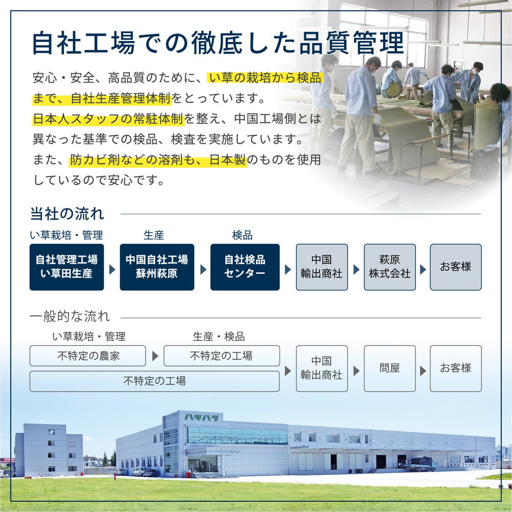 フリーカット裏付き い草カーペット みすず 江戸間 2帖（174×174） 送料無料
