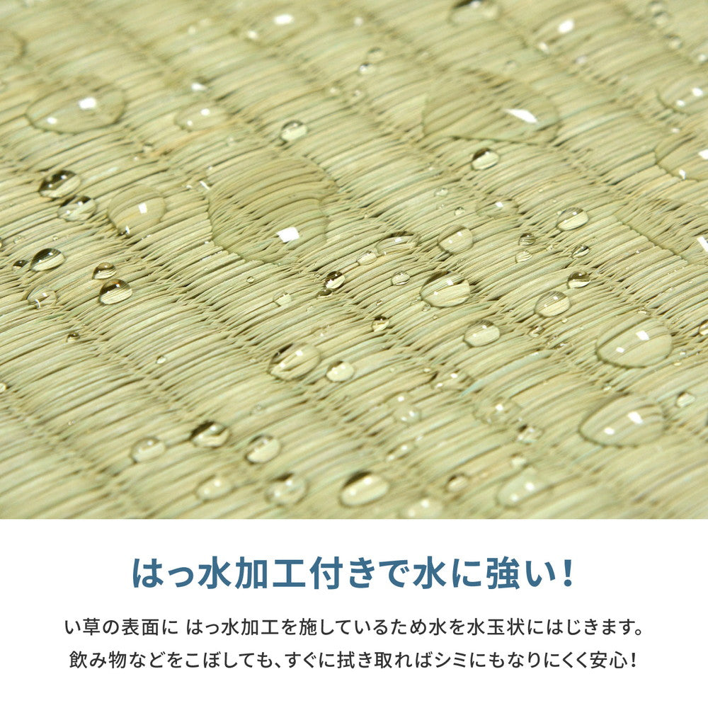 フリーカット裏付き い草カーペット みすず 補修テープ付き 江戸間 4.5帖（261×261） 送料無料