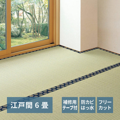 フリーカット裏付き い草カーペット みすず 補修テープ付き 江戸間 6帖（261×352） 送料無料