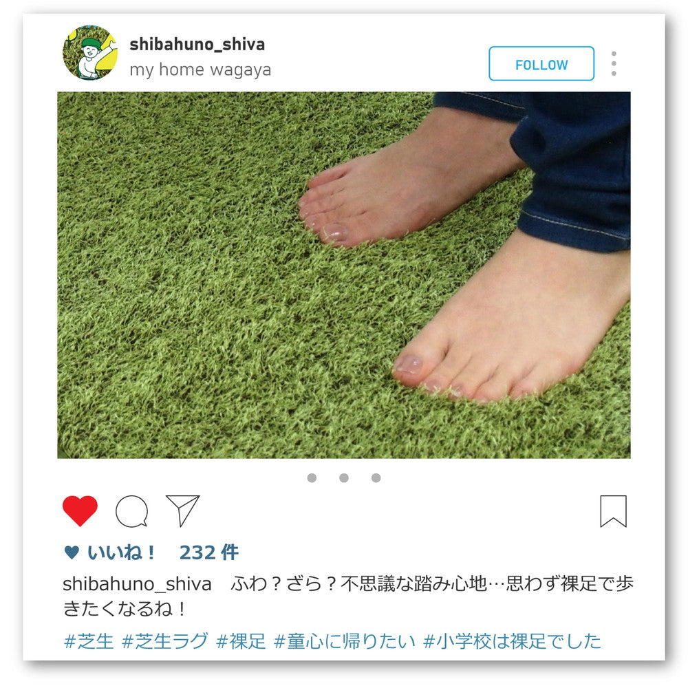 リアル芝生風のやわらか円形ラグ シーヴァ 直径150cm 送料無料