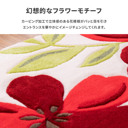 玄関マット アベル 50×80cm 送料無料