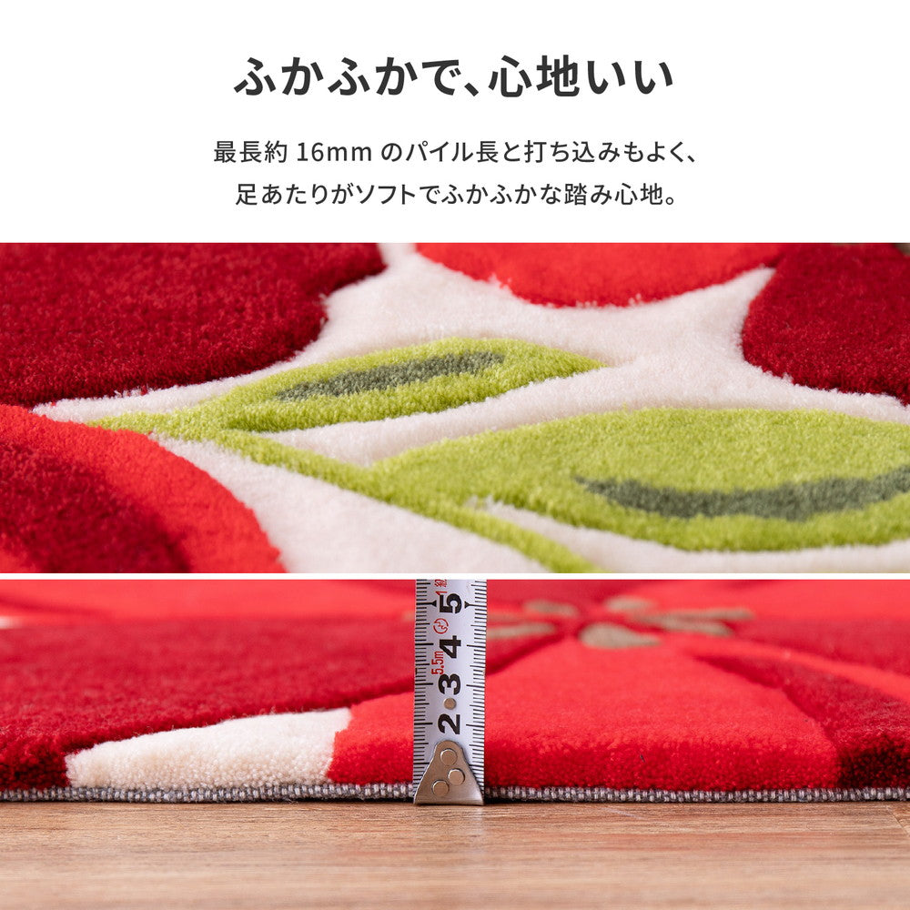 玄関マット アベル 70×120cm 送料無料
