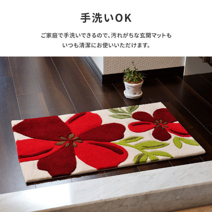 玄関マット アベル 70×120cm 送料無料