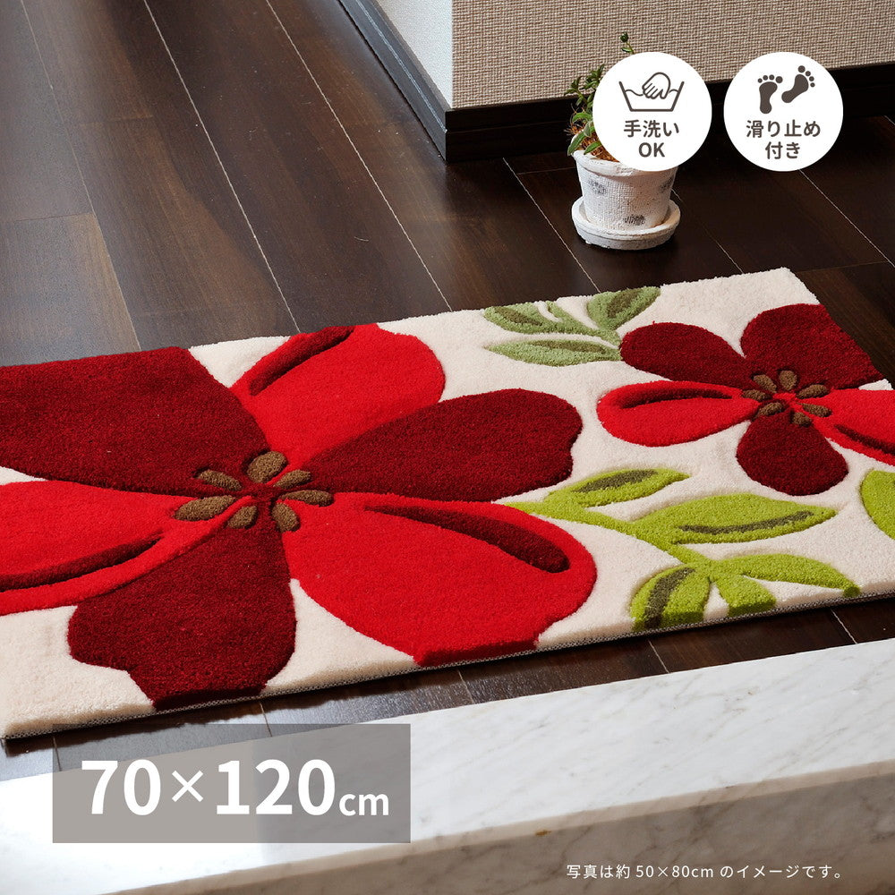 玄関マット アベル 70×120cm 送料無料