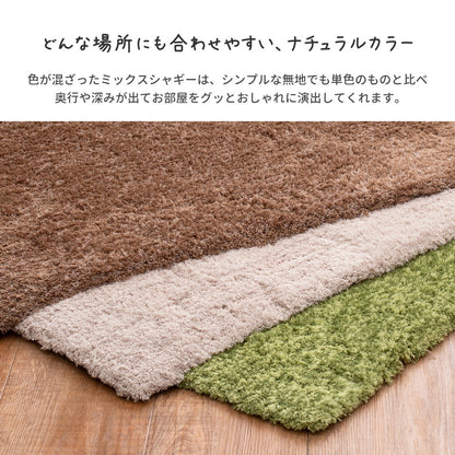 玄関マット リオ 45×75cm 送料無料