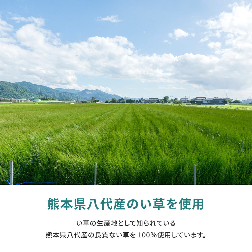 国産い草カーペット 天草 江戸間 2帖（174×174） 送料無料