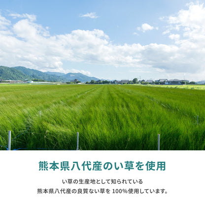 国産い草カーペット 天草 江戸間 6帖（261×352） 送料無料