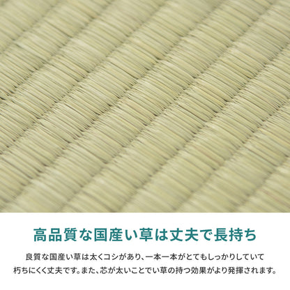 国産い草カーペット 天草 江戸間 2帖（174×174） 送料無料