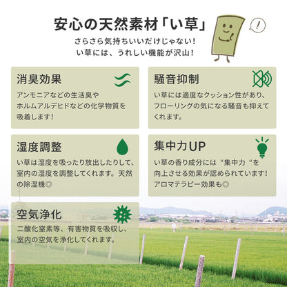 国産い草カーペット 天草 江戸間 4.5帖（261×261） 送料無料