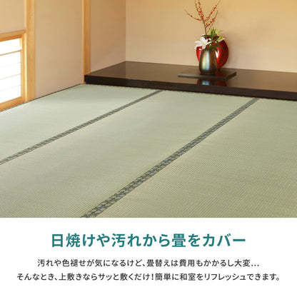 国産い草カーペット 天草 本間 6帖（286×382） 送料無料