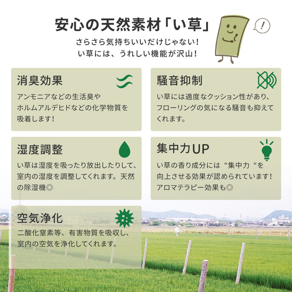 国産い草カーペット 天草 本間 3帖（191×286） 送料無料