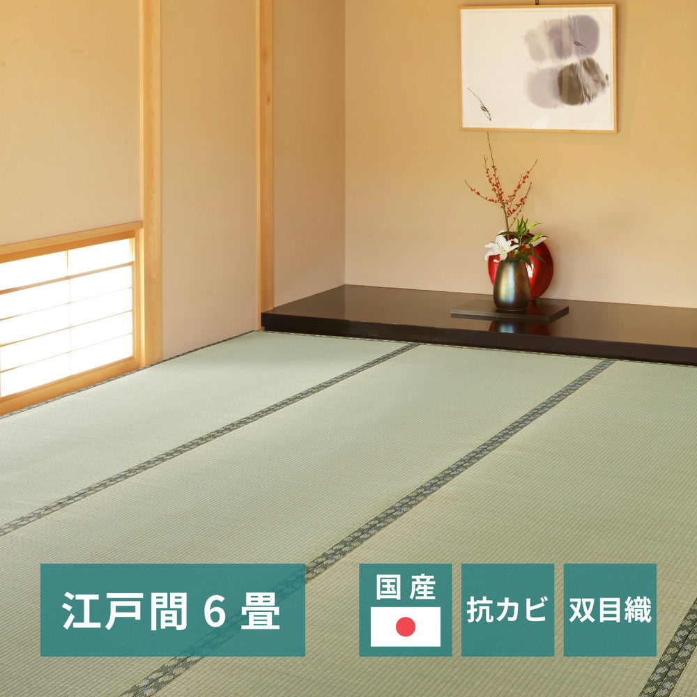 国産い草カーペット 天草 江戸間 6帖（261×352） 送料無料