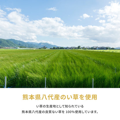 国産い草カーペット 琥珀 江戸間 6帖（261×352） 送料無料