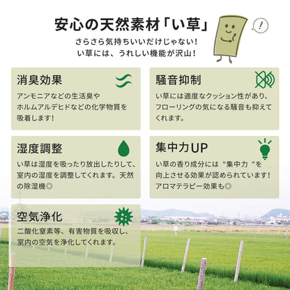 国産い草カーペット 琥珀 江戸間 2帖（174×174） 送料無料