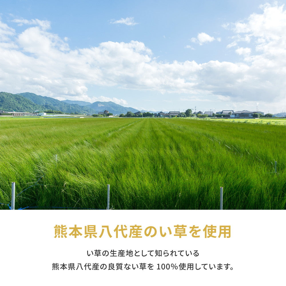 国産い草カーペット 琥珀 本間 8帖（382×382） 送料無料