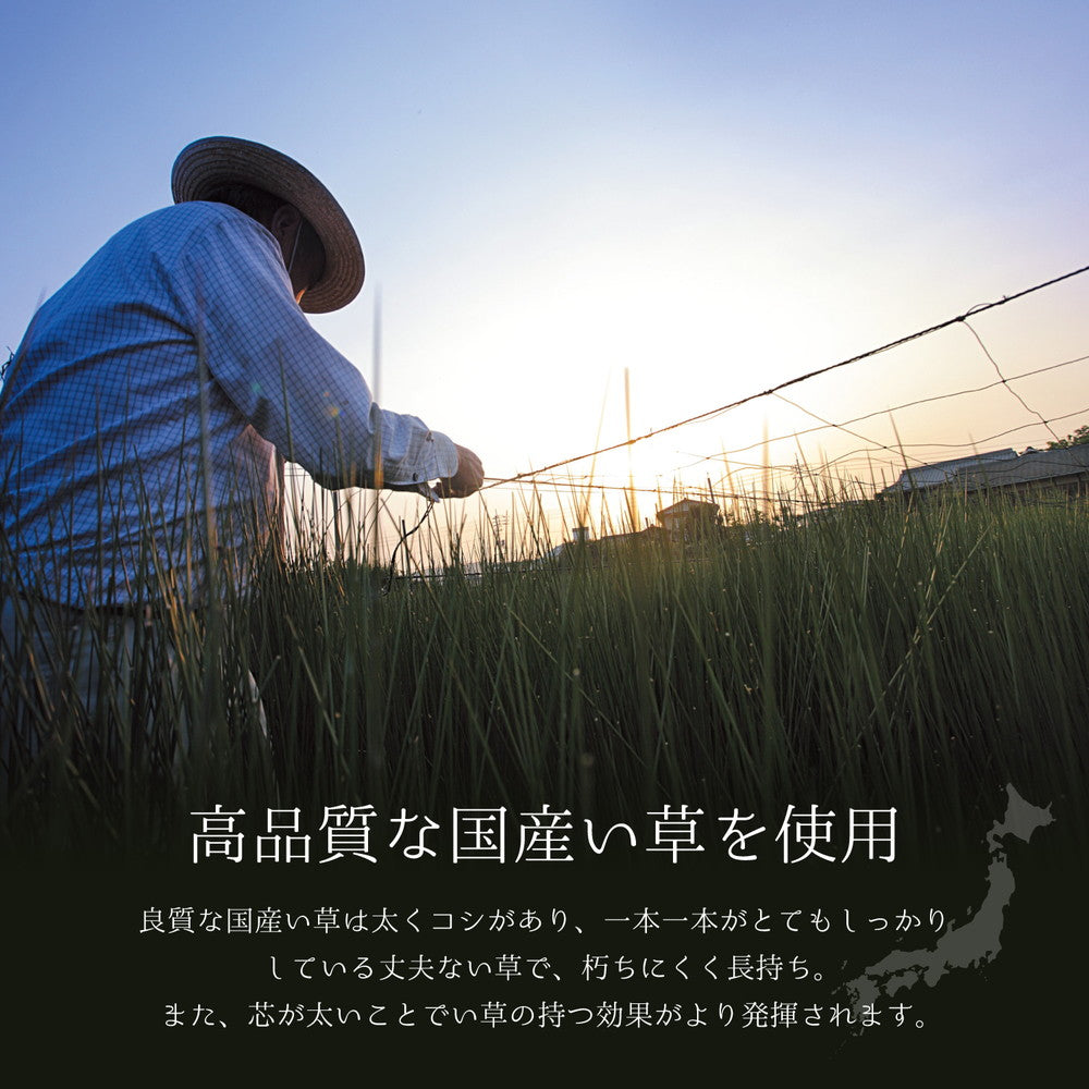 国産い草ラグ（裏貼り） イデア 191×250cm 送料無料