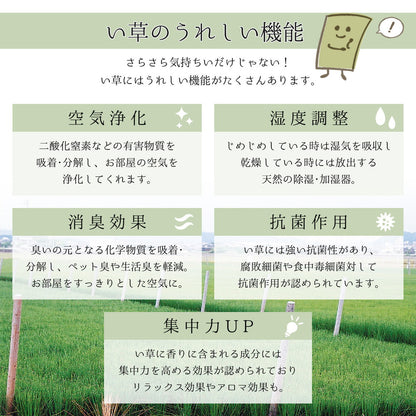 国産い草ラグ（裏貼り） エルモード 191×250cm 送料無料