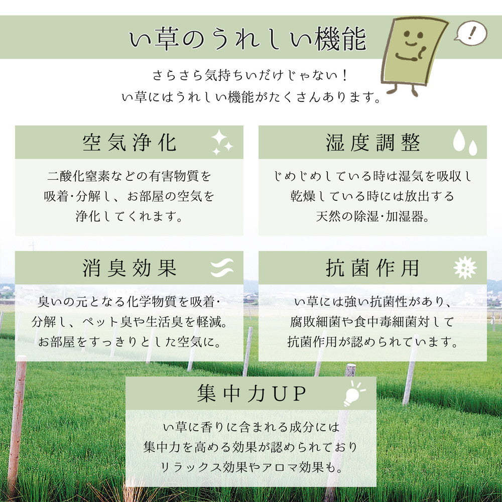 国産い草ラグ（裏貼り） エルモード 191×191cm 送料無料