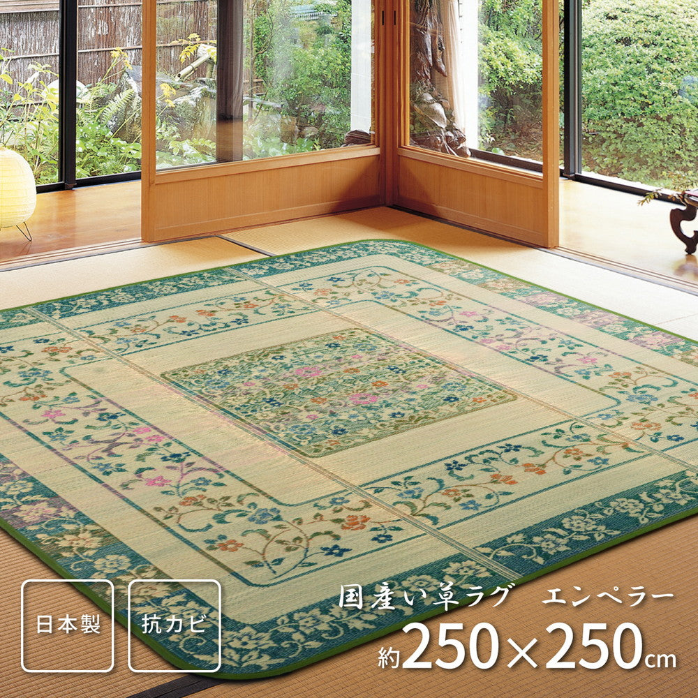 国産い草ラグ（裏貼り） エンペラー 250×250cm 送料無料