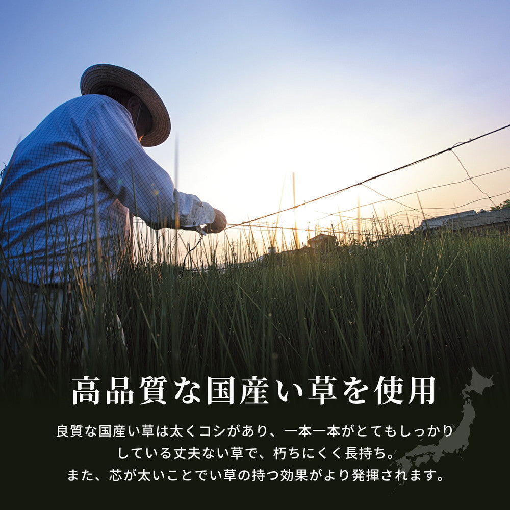 国産い草ラグ（裏貼り） 右京（うきょう） 191×250cm 送料無料