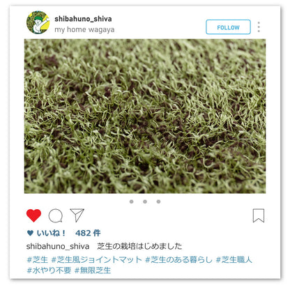 芝生風ジョイントマット シーヴァ 36枚セット 60×60×0.8cm 送料無料