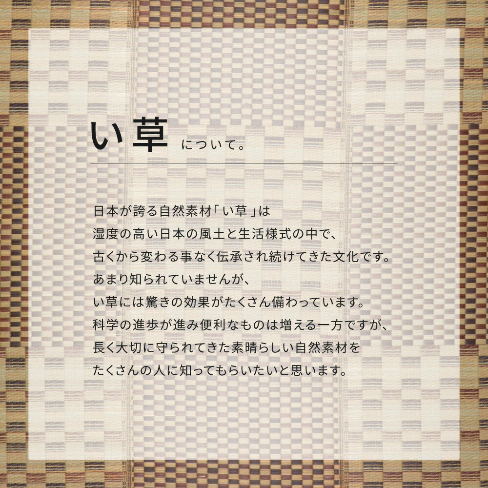収納簡単 い草ふっくらラグ キハチ 240×320cm 送料無料