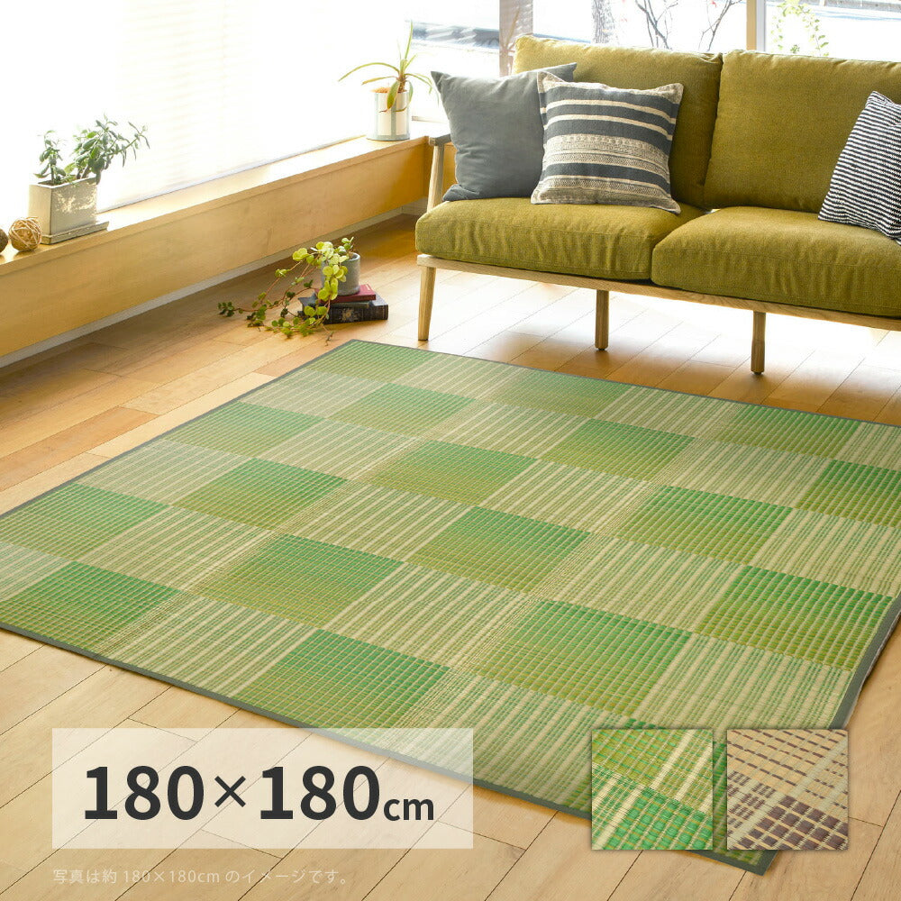 収納簡単 い草ふっくらラグ クレパス 180×180cm 送料無料