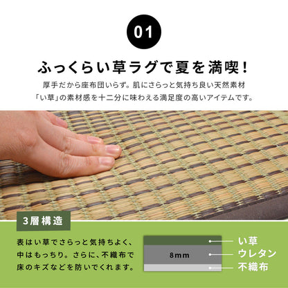 収納簡単 い草ふっくらラグ クレパス 240×240cm 送料無料