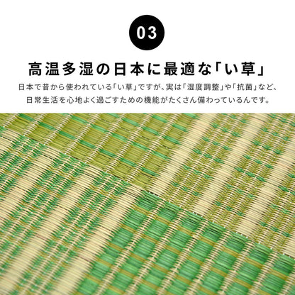 収納簡単 い草ふっくらラグ クレパス 240×300cm 送料無料
