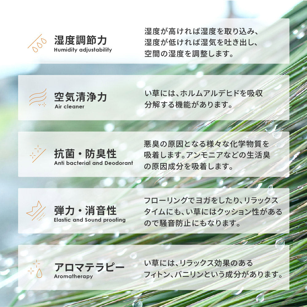 収納簡単 い草ふっくらラグ クレパス 180×240cm 送料無料
