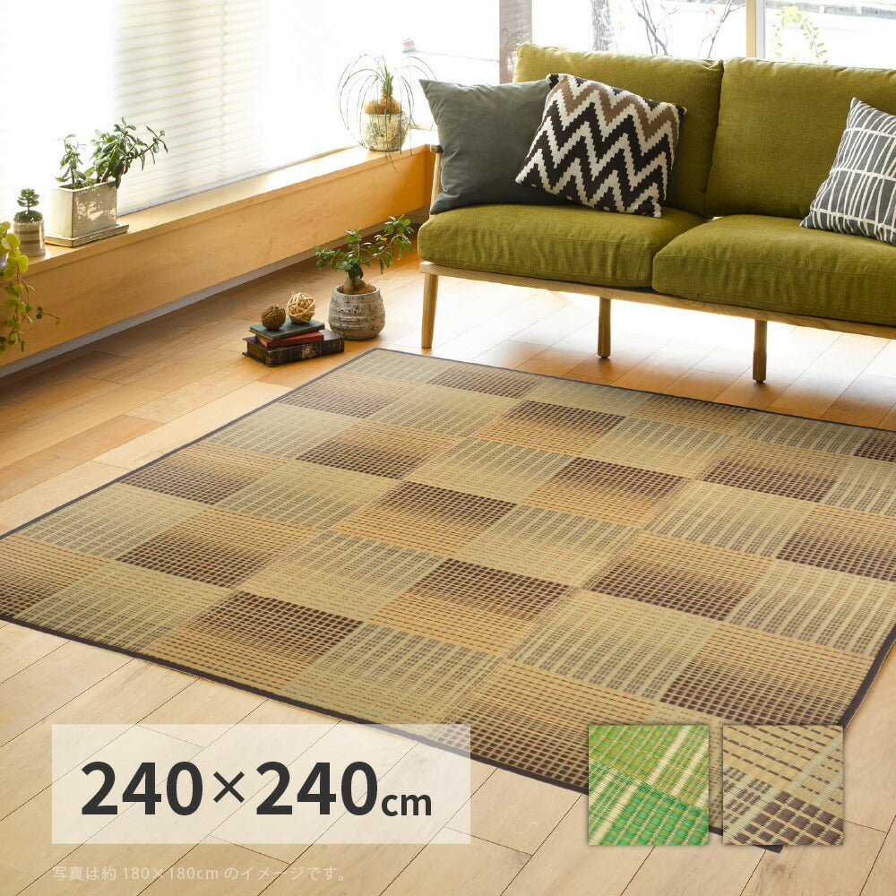 収納簡単 い草ふっくらラグ クレパス 240×240cm 送料無料