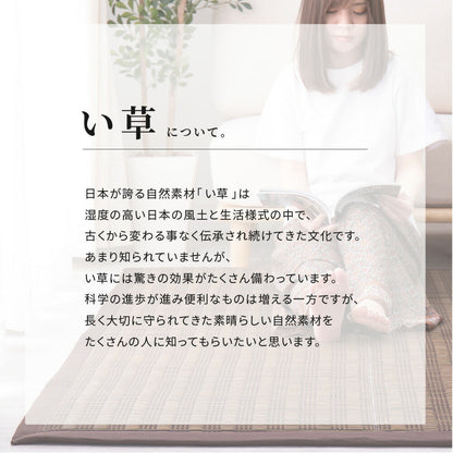 収納簡単 い草ふっくらラグ 仙名 180×180cm 送料無料