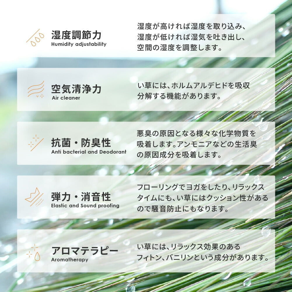 収納簡単 い草ふっくらラグ 仙名 180×240cm 送料無料