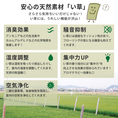 【新商品】折り畳める 畳マットレス 鞍馬 シングル（100×200cm） 送料無料