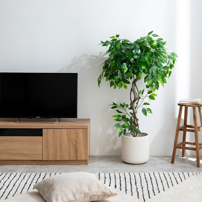 光触媒人工観葉植物 ユーカリ 高さ130cm | 【公式】allecore 光触媒人工観葉植物 ユーカリ 高さ130cm | 【公式】allecore