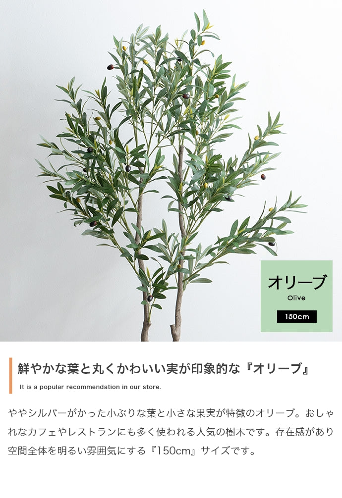 光触媒人工観葉植物 オリーブ 高さ150cm | 【公式】allecore(アレコレ