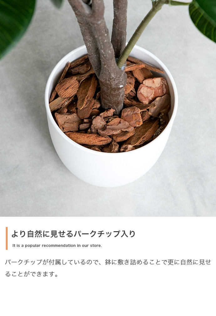 光触媒人工観葉植物 オリーブ 高さ150cm | 【公式】allecore(アレコレ