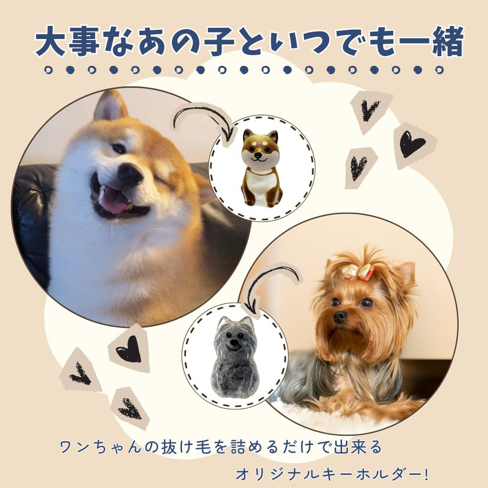 いぬけだま ケース キーホルダー 犬毛玉 入れ 犬毛収納ボックス 12種類 - 【公式】allecore(アレコレ) 家具インテリア・生活雑貨のオンライン通販